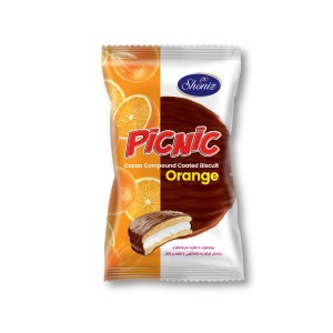 پیک نیک پرتقال شونیز