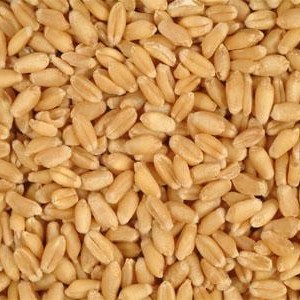 جو پوست کنده فله ( 1 کیلوگرم)