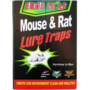 چسب موش کتابی بزرگ