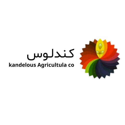 محصولات بهداشتی کندلوس