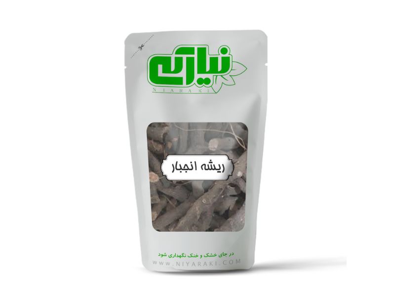 انجبار   ریشه