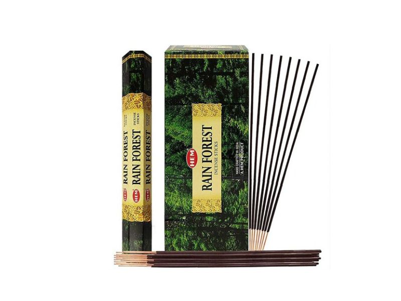 عود جنگل های بارانی