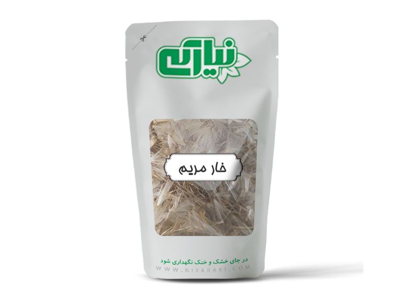 گیاه خار مریم