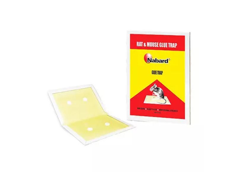 چسب موش کتابی نبرد