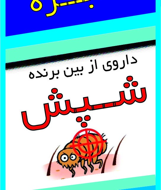 پودر ضد شپش معجزه