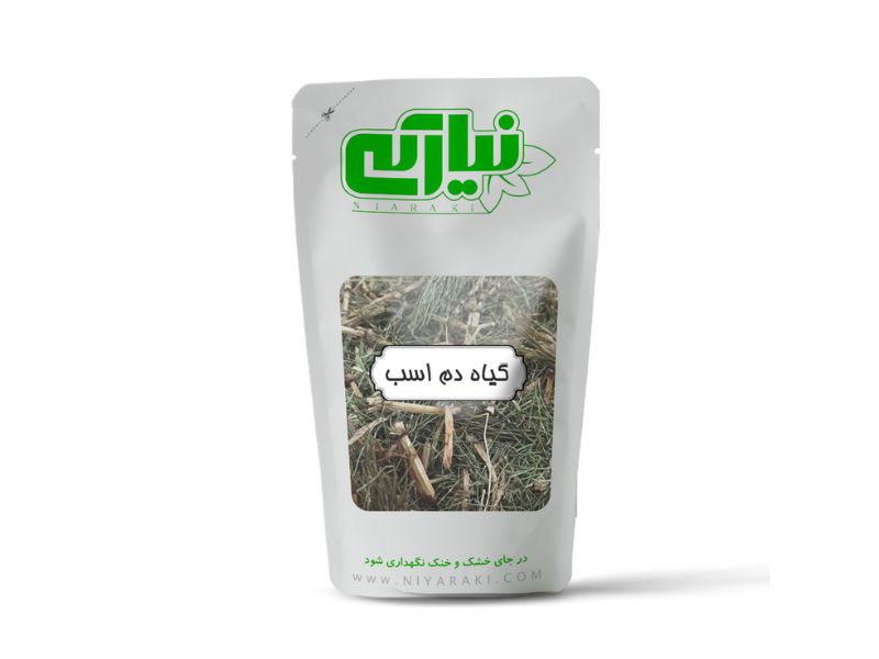 گیاه دم اسب