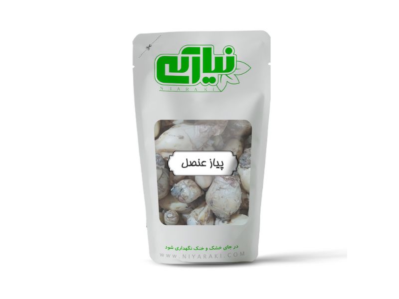 پیاز عنصل (پیاز کوهی)