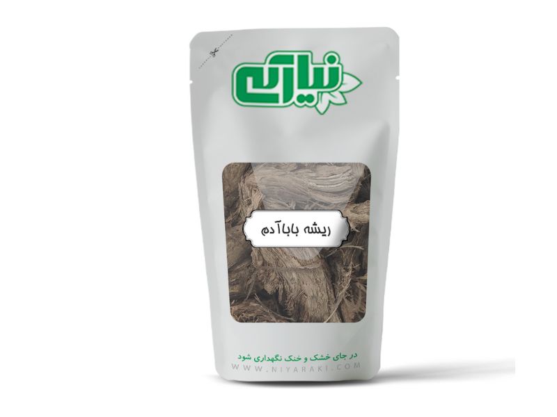 ریشه بابا آدم