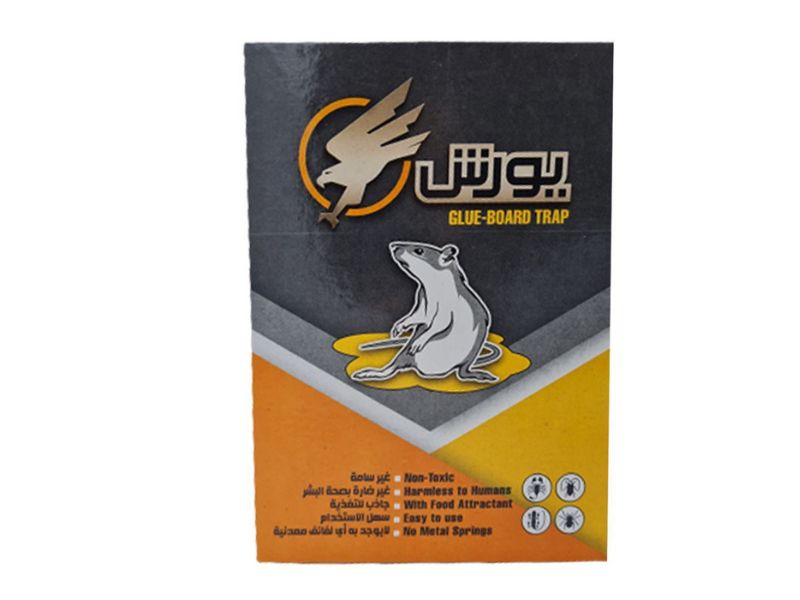 چسب موش کتابی یورش