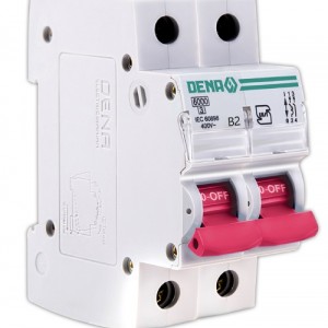 کلید (فیوز) مینیاتوری 6000 دو پل 2A دنا الکتریک