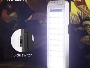 چراغ اضطراری 30 لامپ