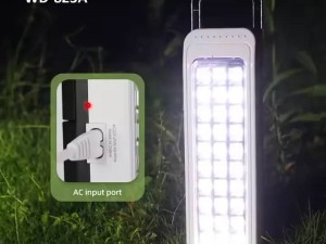 چراغ اضطراری 30 لامپ