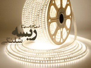 ریسه شلنگی برای پذیرایی