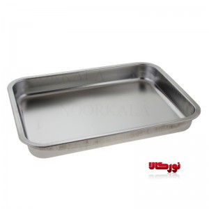 سینی مواد غذایی سایز 3 کاکتوس