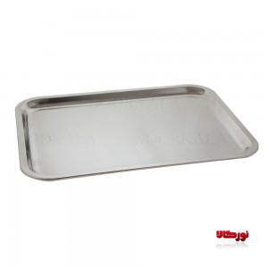 سینی پذیرایی نگین سایز 2 کاکتوس