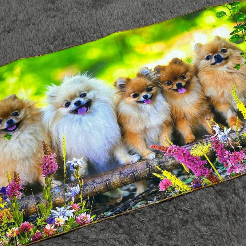 نم گیرسه بعدی طرح سگ  سایز ۶۰در۱۲۰