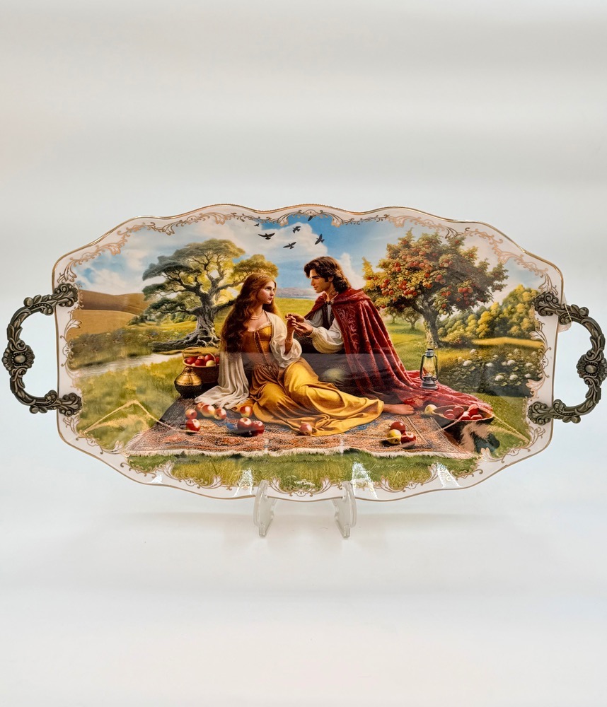 دیس بیضی بزرگ 3074