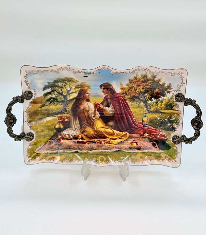 دیس مستطیل3076