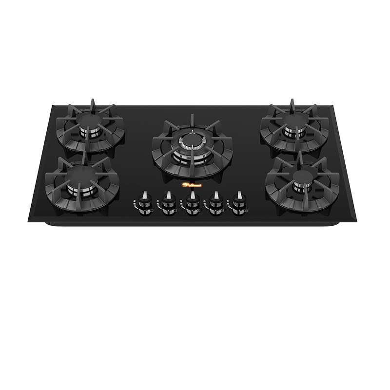 گاز داتیس مدل DG 541