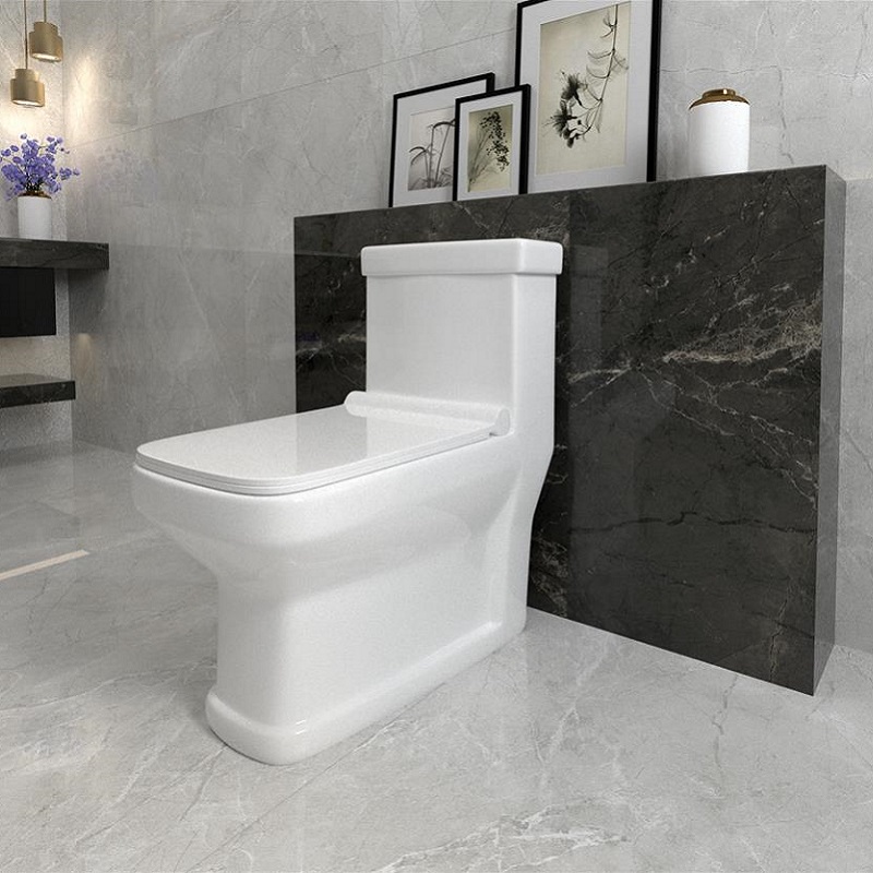 توالت فرنگی سینا چینی مدل آرینا سفید