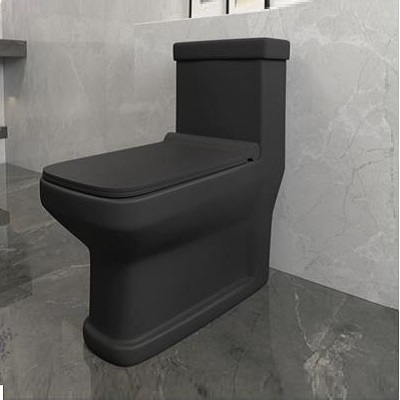 توالت فرنگی سینا چینی مدل آرینا مشکی