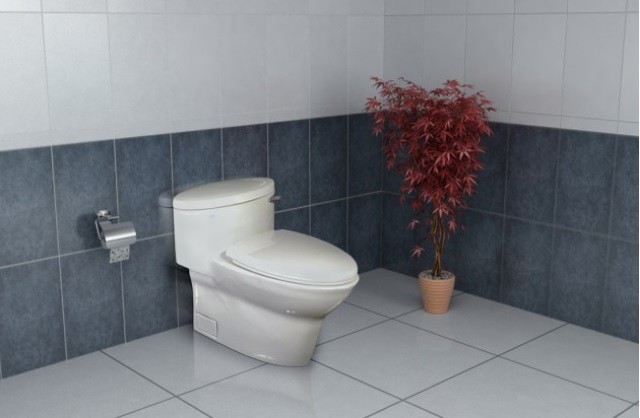 توالت فرنگی گلسار مدل کاکتوس