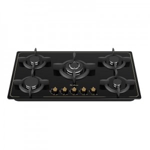 گاز داتیس مدل DG 542