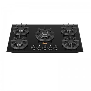 گاز داتیس مدل DG 541