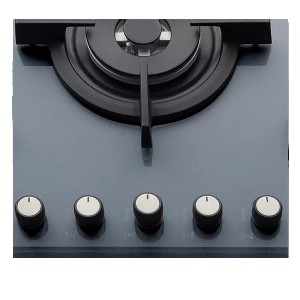 اجاق گاز صفحه ای مستر پلاس مدل G 251