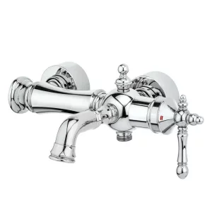 شیر دوش قهرمان مدل نگین