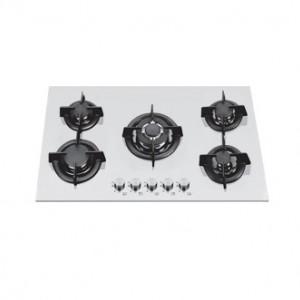 گاز صفحه ای وایز مدل 309