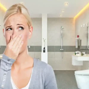 از بین بردن بوی بد سرویس بهداشتی