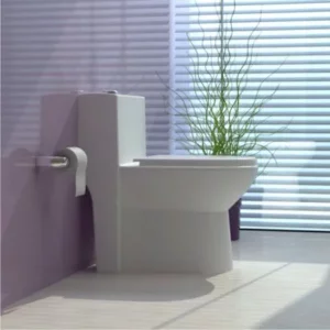 توالت فرنگی گلسار مدل لوسیا