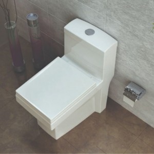 توالت فرنگی گلسار مدل آستر