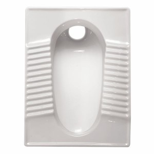 توالت زمینی مروارید مدل فیروزه گود