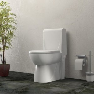 توالت فرنگی گلسار مدل اورلاند