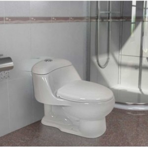 توالت فرنگی گلسار مدل دیبا