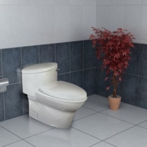 توالت فرنگی گلسار مدل کاکتوس