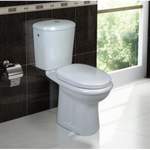 توالت فرنگی گلسار مدل گل آرا