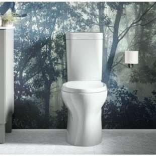 توالت فرنگی کوهلر مدل PERSUADE سفید