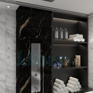 پانل دوش توکار لیبرا مدل Avid با آبریز دایره