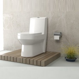 توالت فرنگی گلسار مدل وینر