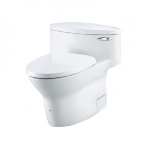 توالت فرنگی  توتو TOTO مدل CW904KS2