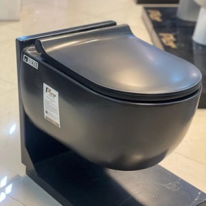 توالت وال هنگ Pier مدل X55