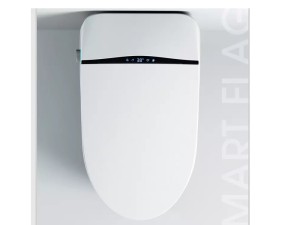 توالت فرنگی بدون مخزن هوشمند