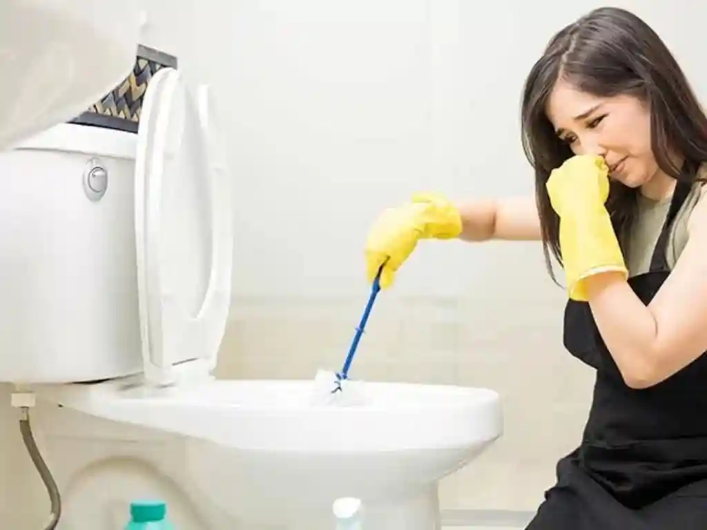 از بین بردن بوی بد سرویس