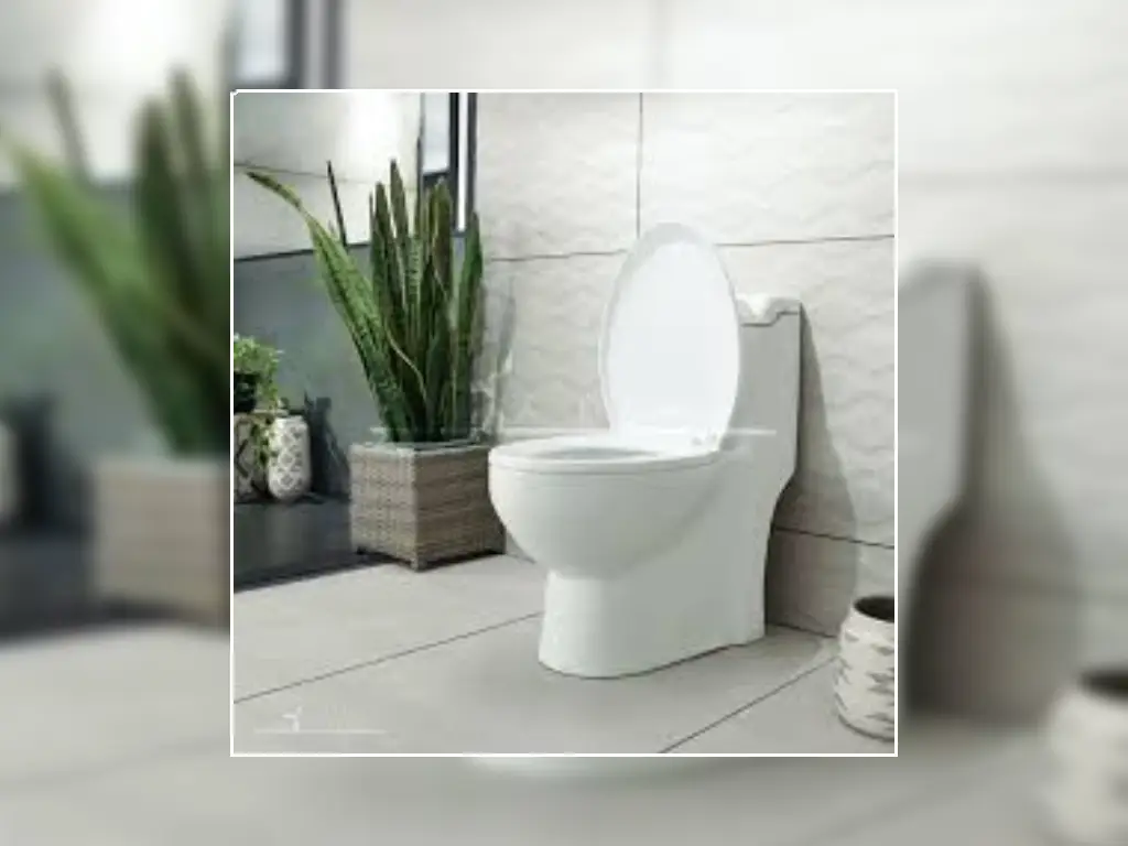 کوچکترین توالت فرنگی مروارید: توالت فرنگی مروارید مدل ویستا