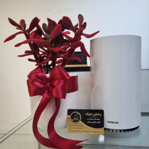 مودم سیم کارتی نوکیا NOKIA FASTMILE 4G/5G/TDLTE GATEWAY 3.1 استوک