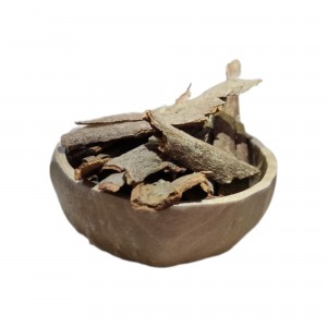 دارچین قلمی