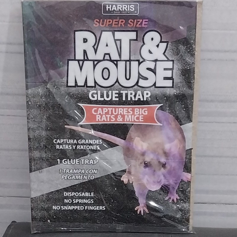 چسب موش کتابی